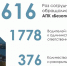 В Поморье запущен портал, который призван помочь в раскрытии правонарушений - Сетевое издание Двиноважье