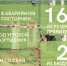 Почти 180 млн рублей в Архангельской области будет направлено на расселение жителей домов, сошедших со свай - Сетевое издание Двиноважье