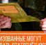 Мобилизованные предприниматели освобождены от сдачи статистической отчетности - Сетевое издание Двиноважье