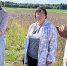 В Холмогорском округе состоялась приемка результатов испытаний сортов сельхозкультур - Сетевое издание «Двиноважье»