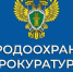 Архангельская межрайонная природоохранная прокуратура - Сетевое издание «Двиноважье»